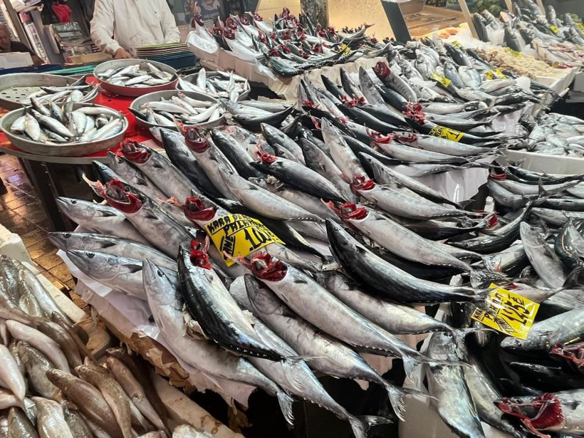 Palamutta “Kestane karası”nı sakın beklemeyin. Şaşıracaksınız - Resim: 5