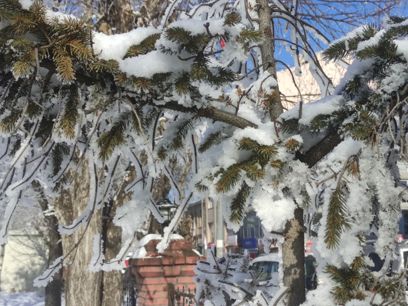 Ardahan buz kesti: Göle’de termometreler -28,4’ü gördü - Resim : 1