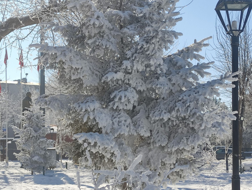 Ardahan buz kesti: Göle’de termometreler -28,4’ü gördü - Resim : 2