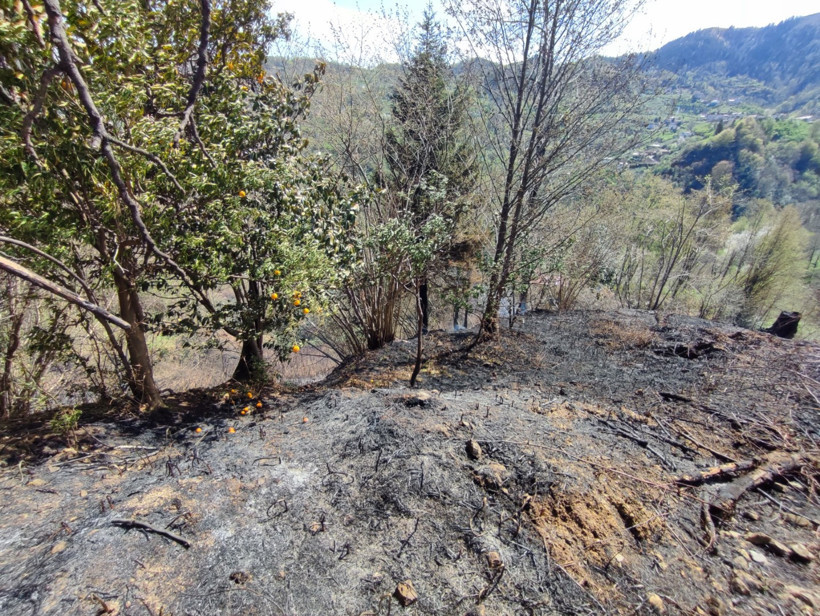 Trabzon'da örtü yangını: 4 dönüm alan zarar gördü - Resim : 1