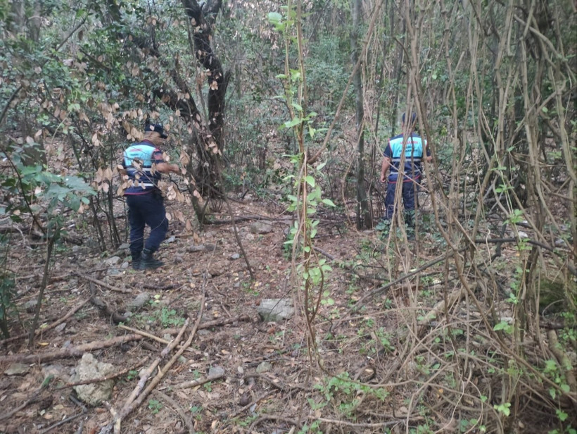 Tatilci kadın neye uğradığını şaşırdı: Yaban domuzları çantasını alıp kaçtı - Resim : 1
