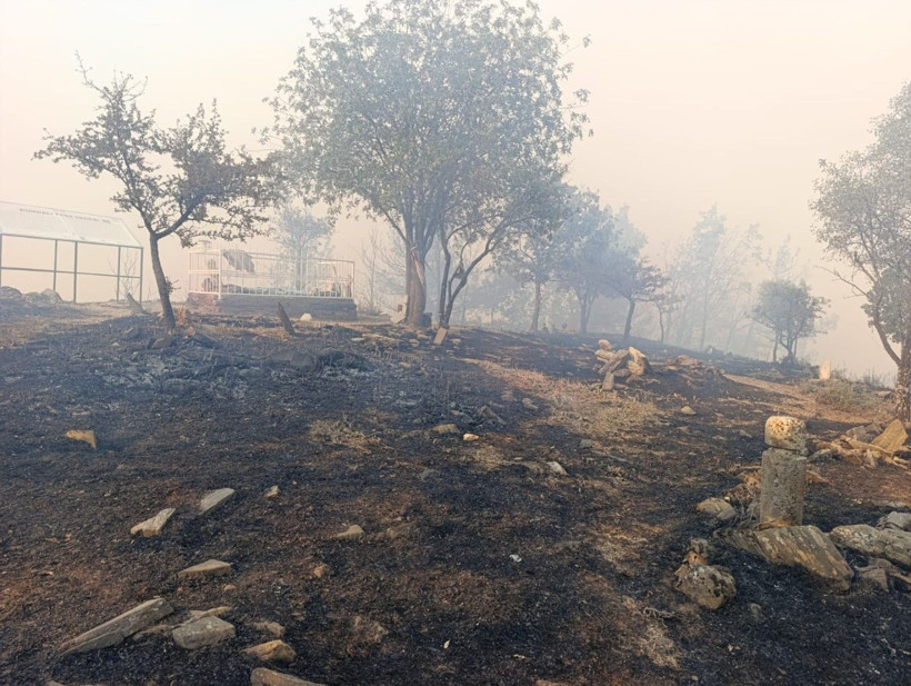 Denizli'de başladı, Aydın'a sıçradı: Üç gündür yanıyor - Resim: 4