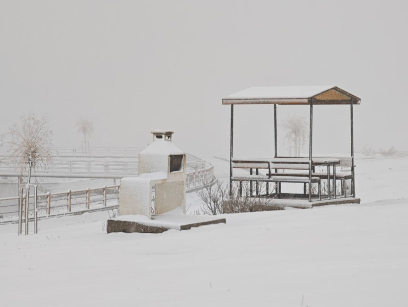 Ordu'da kar yağışı - Resim : 1