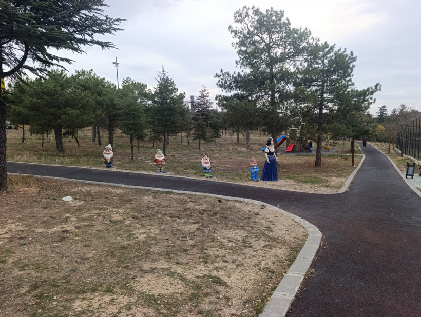 7 cüceler 4 kişi kaldı: Pamuk Prensesin cücelerini çaldılar - Resim : 1