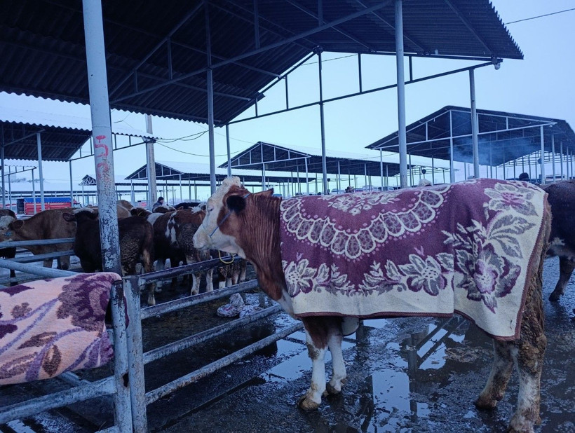 Beyaz örtü yurdu sardı - Resim: 4