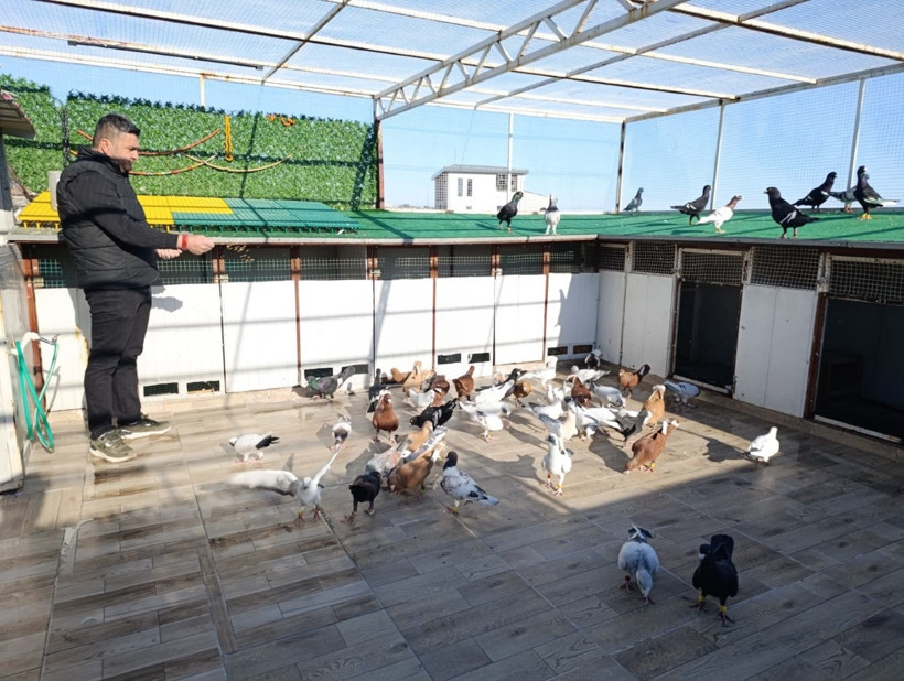 Memurluğu bıraktı, çocukluk hayaliyle milyonlar kazanıyor - Resim : 1