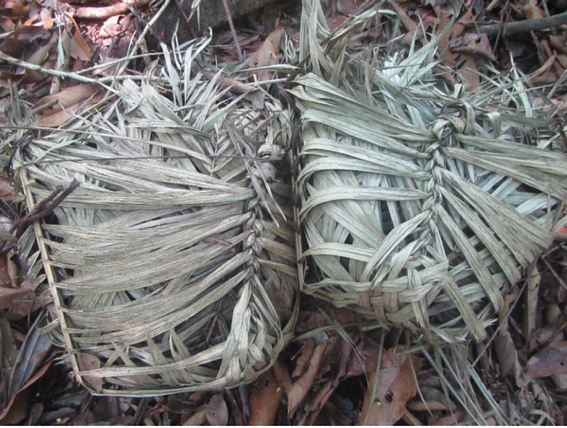 Dış dünyayla temas kurdu, ertesi günü kabilesine döndü - Resim : 3