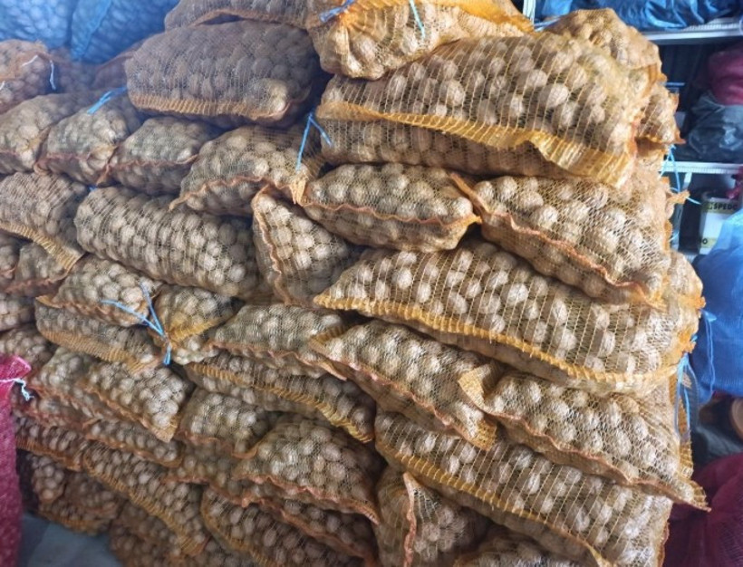 Geçen yıl ağlayan çiftçiler bu yıl paraya para demiyor! Tarladan tam 400 ton çıktı - Resim : 4