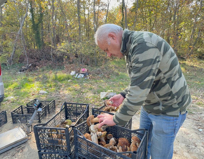 Popülasyon yok oldu, fiyatlar 500 liraya dayandı - Resim : 1