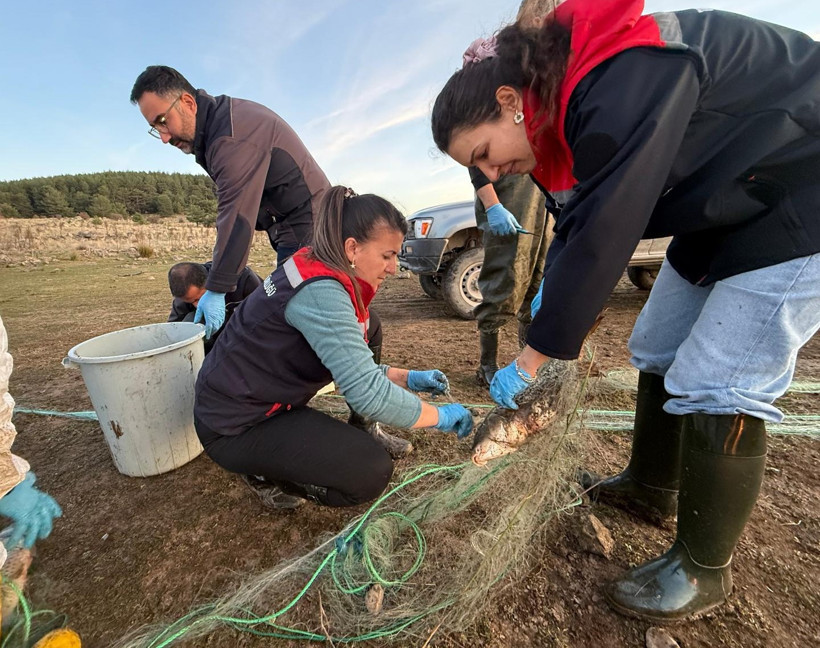500 balık canlı kurtarıldı - Resim : 1