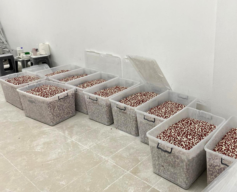 Emniyet’in 2025 uyuşturucu raporu: Metamfetamini geçti, en çok bonzai can alıyor! - Resim : 2