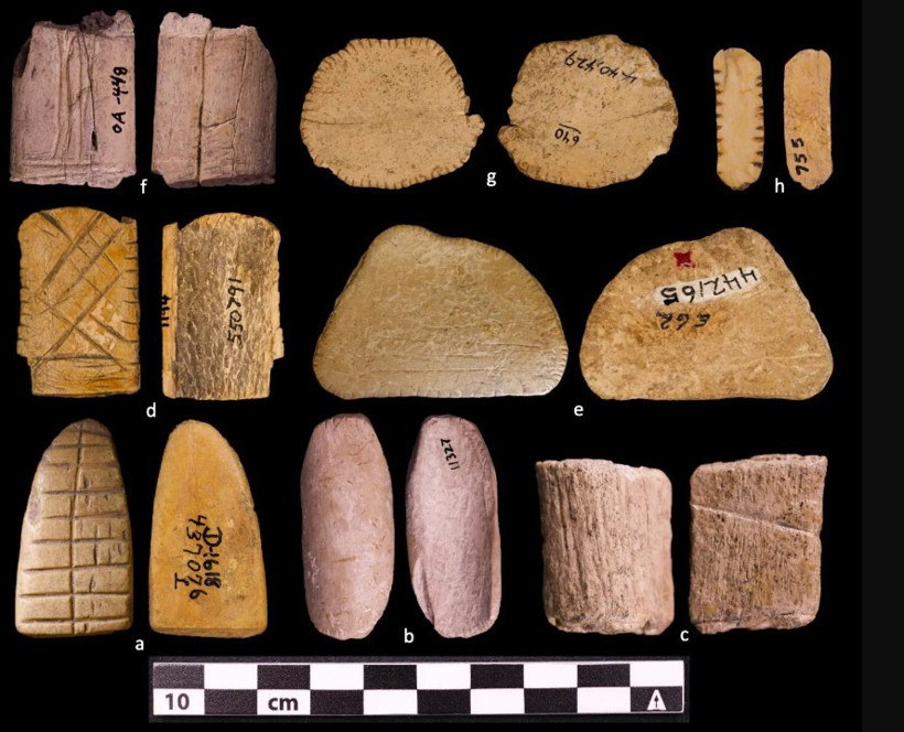 12 bin yıllık keşif, kumar tarihini yeniden yazdı - Resim : 1