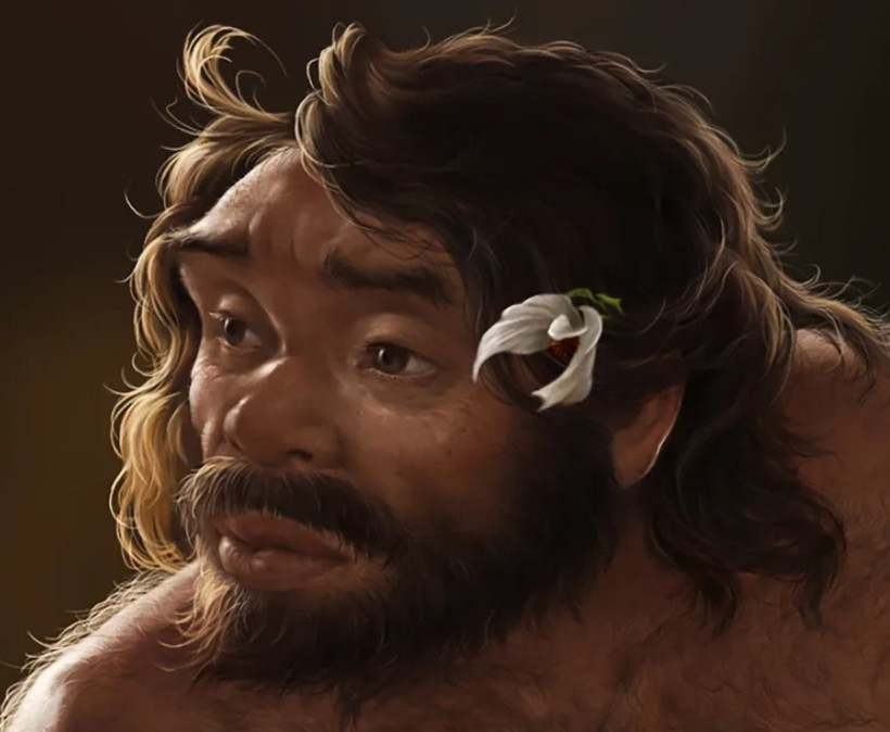 Ezber bozan araştırma: 1 milyon yıllık kafatası insanlık tarihini yeniden yazabilir - Resim : 2