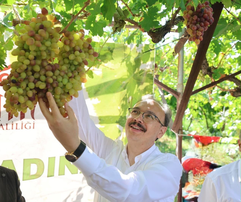 Türkiye'de her evde kilolarca yeniyor, yaprakları yurt dışına satılıyor - Resim : 4