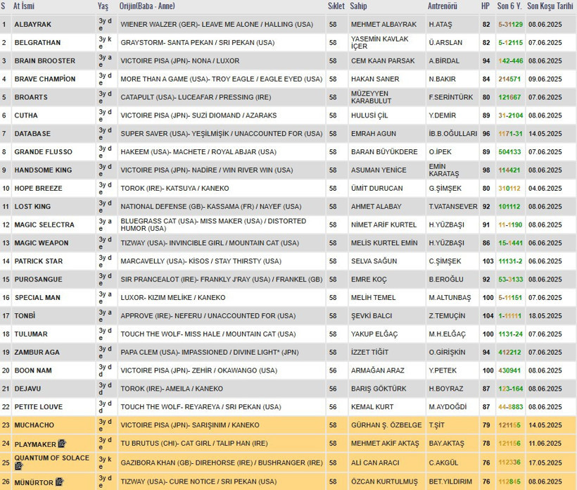 Gazi Koşusu'nda yarışacak atlar belli oldu - Resim : 1