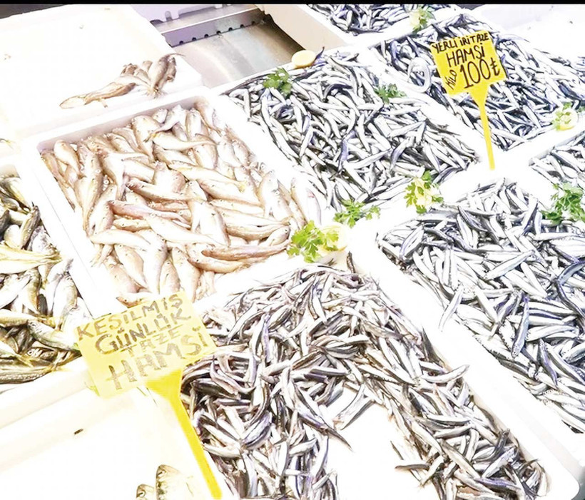 Nohutta ithalat fren tutmuyor - Resim : 1