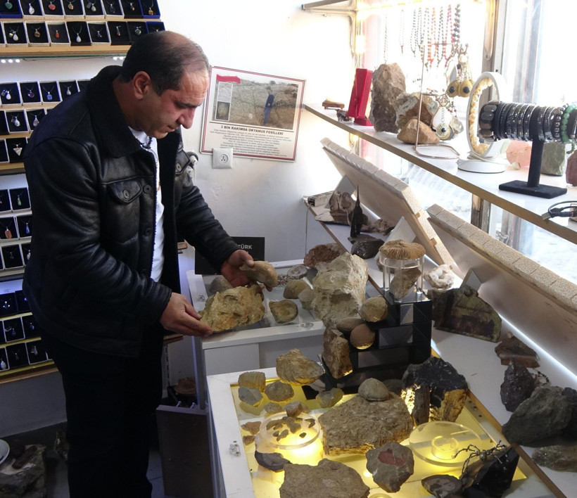 Erzurum’da 200 milyon yıllık deniz fosilleri bulundu - Resim : 3