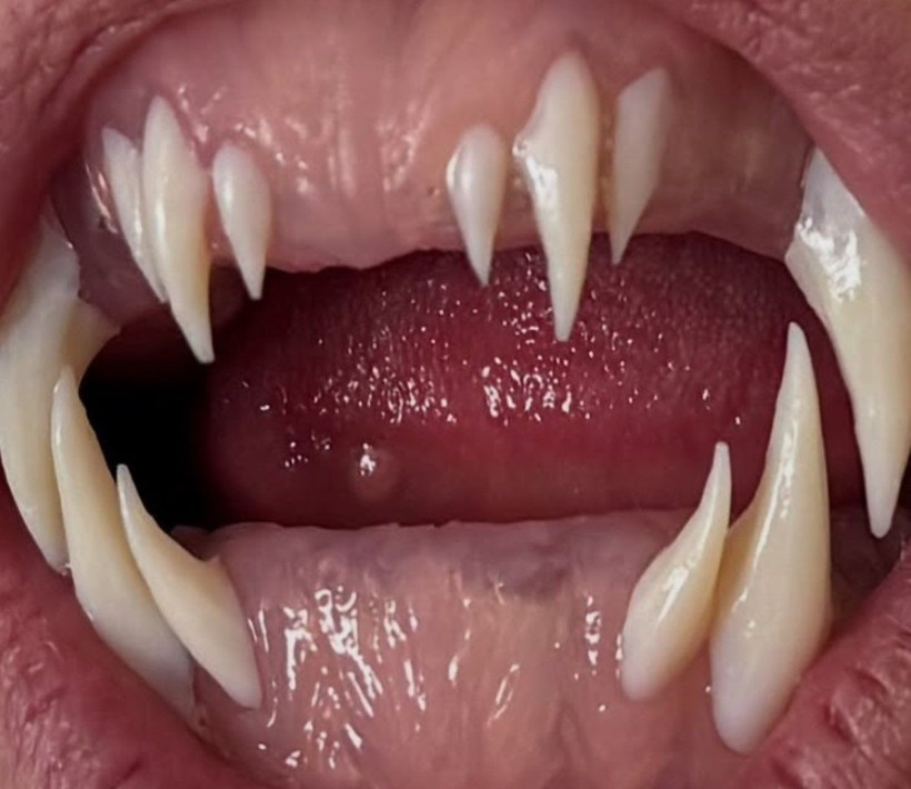 Partiye Medusa kostümüyle gelen ünlü ismi kimse tanıyamadı - Resim: 8