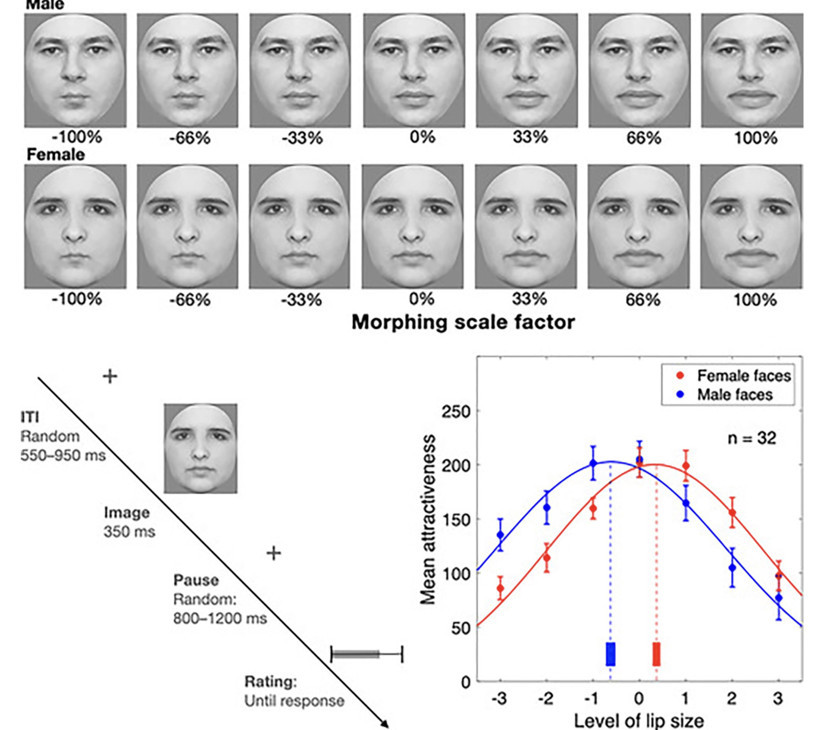 Dolgunlaştırıcı kullananlara kötü haber: Erkekler istemiyor - Resim : 1