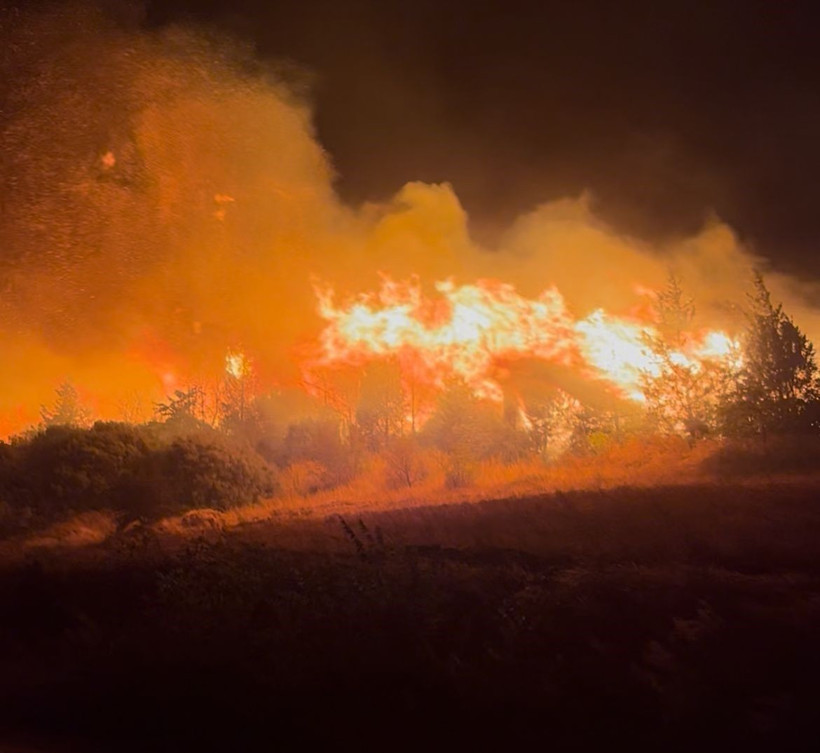 Bursa'daki orman yangını saatler sonra kontrol altına alındı - Resim: 10