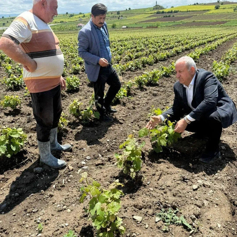 10 bin aile 'narince' ile geçimini sağlıyor - Resim: 14