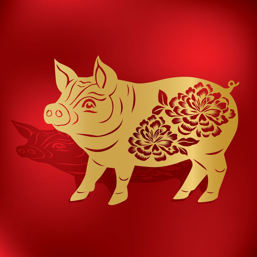 Cesur hamlelerin yılı: Ateş Atı neler getirecek? - Resim: 9