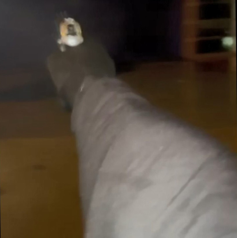 Daltonlar yine 'sahnede' - Resim : 1