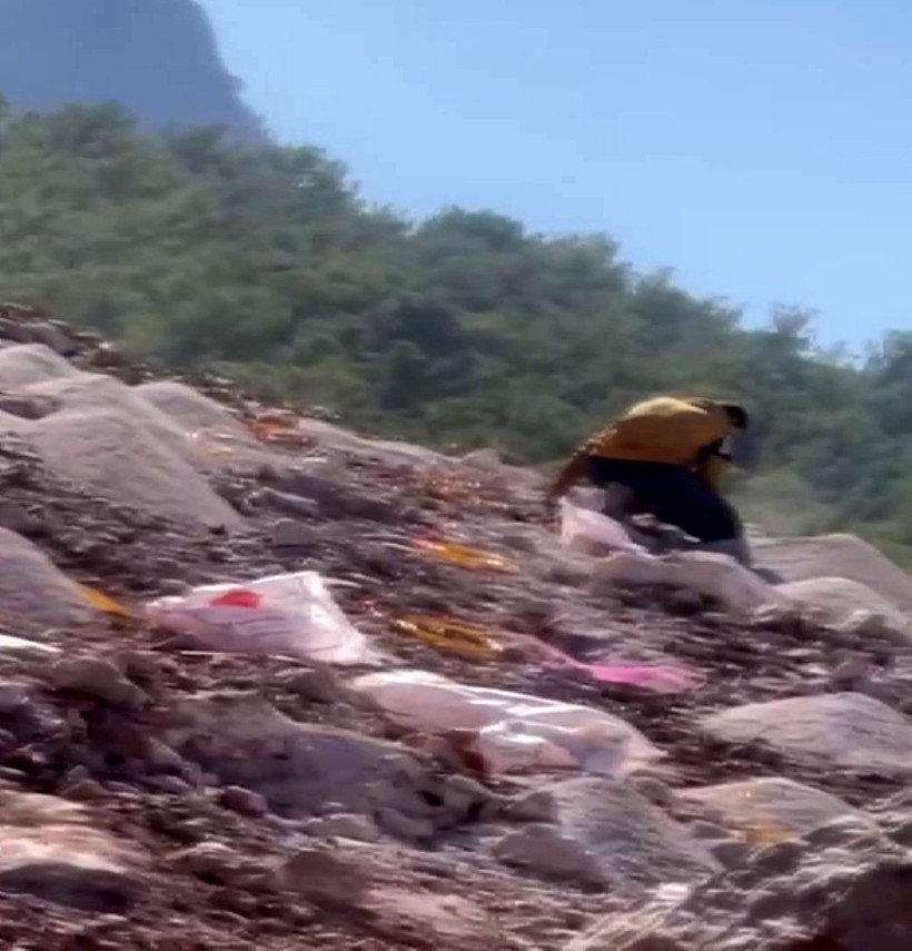 Tarihin yanı başında: Ruhsatı beklemeden ormanı biçtiler - Resim : 2