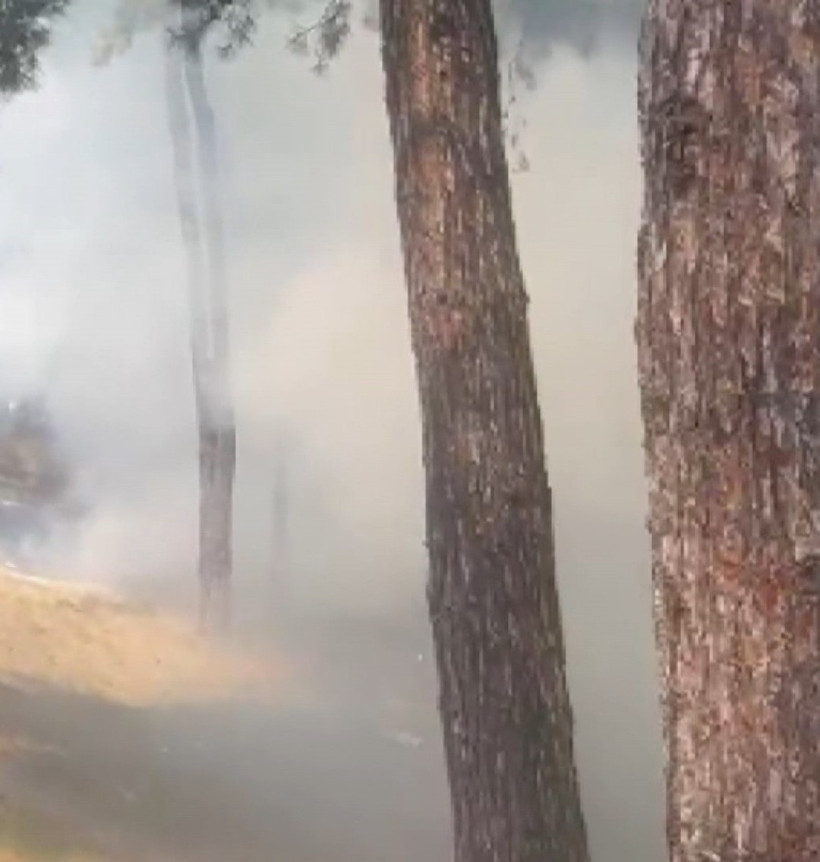 Bakırköy'deki hastanede korkutan yangın - Resim : 1