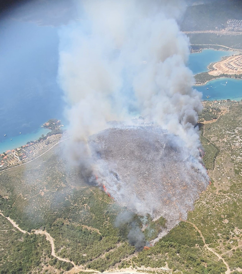 İki ilde orman yangını - Resim : 1