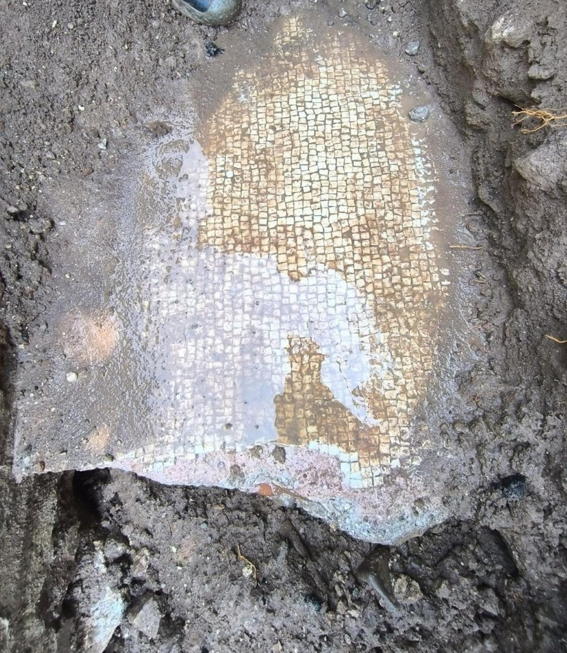 Hatay'da altyapı kazısında tesadüfen bulundu: Tam bin 500 yıllık - Resim : 2