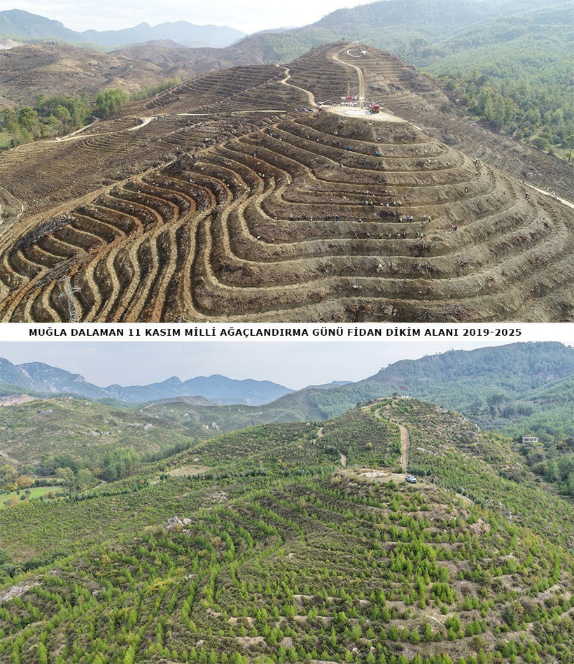 6 yıl önce yangında kül olan alanlar yeniden yeşile dönüştü - Resim : 1