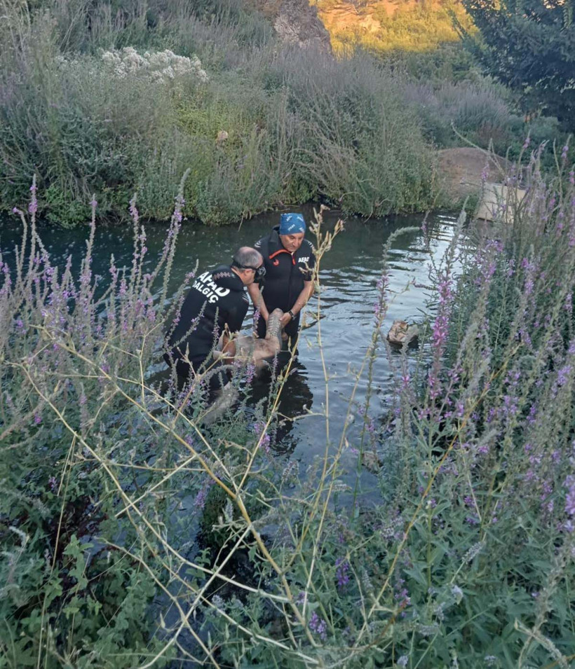 Serinlemek istedi, akıntıya kapılıp can verdi - Resim : 1