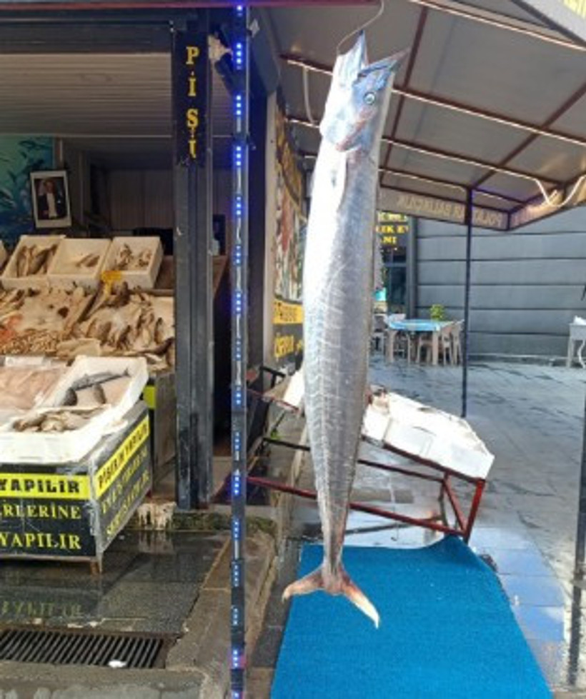 Canavar 5 yıl sonra yakalandı. Atlas Okyanusu’ndan fırtına sürükledi - Resim : 1